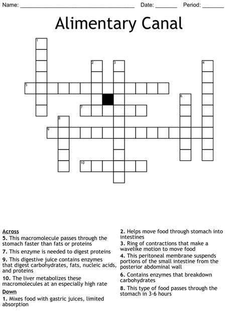 We found 20 possible solutions for this clue. . Canal implement crossword